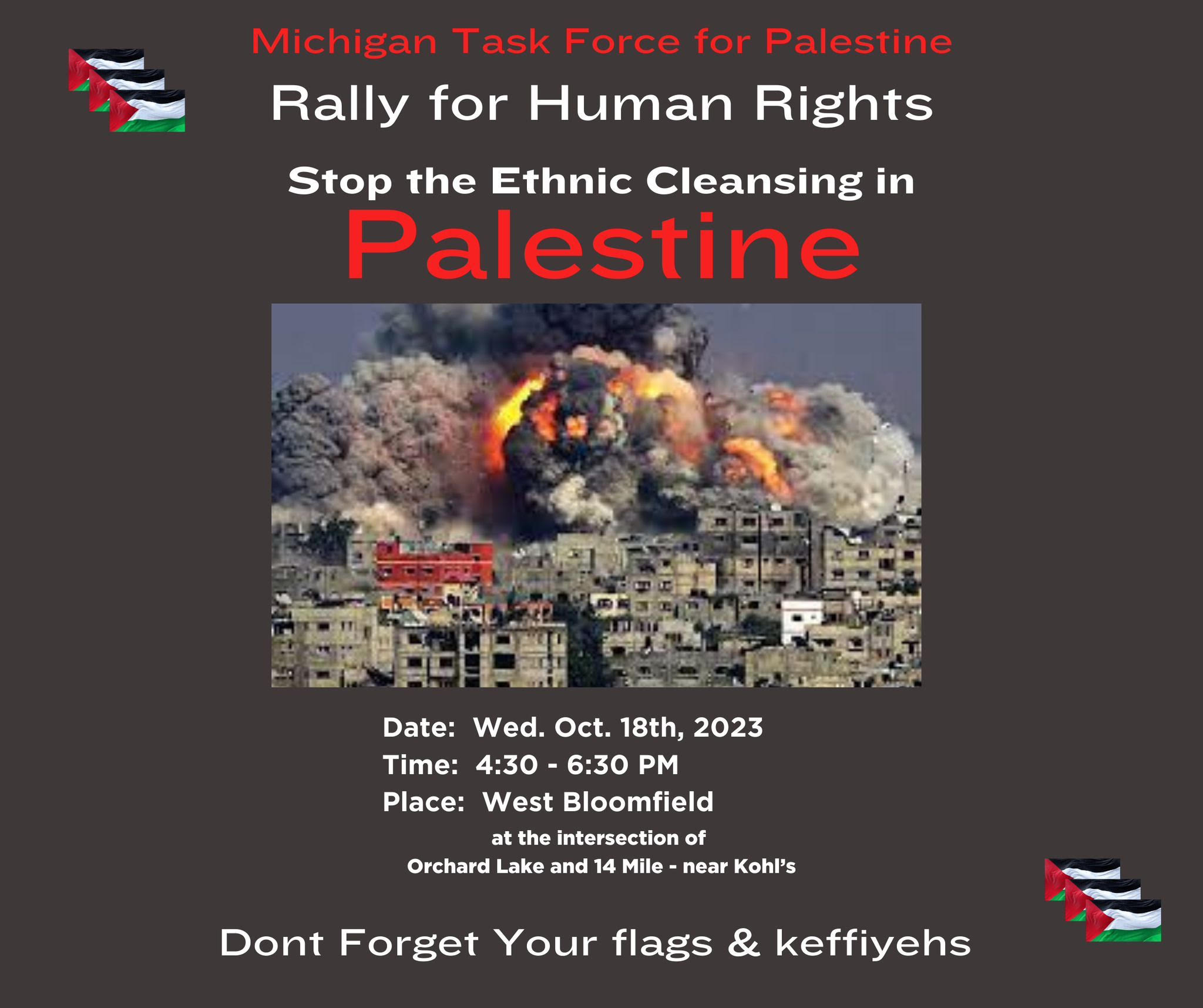 Michigan Task Force for Palestine: Rally for Human Rights, Stop the Ethnic Cleansing in Palestine