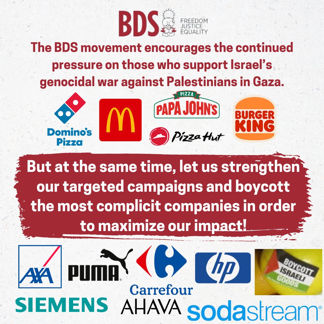 The Boycott, Divestment, and Sanctions (BDS) Movement Assessing Its