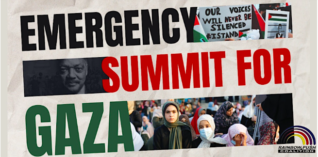 Emergency  Summit for Gaza: Ceasefire, Saving Lives, Building Peace