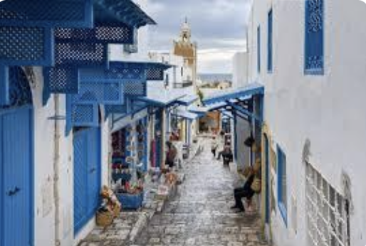 Arm Chair Travel: Tunis, Tunisia from tour company Discover Live!