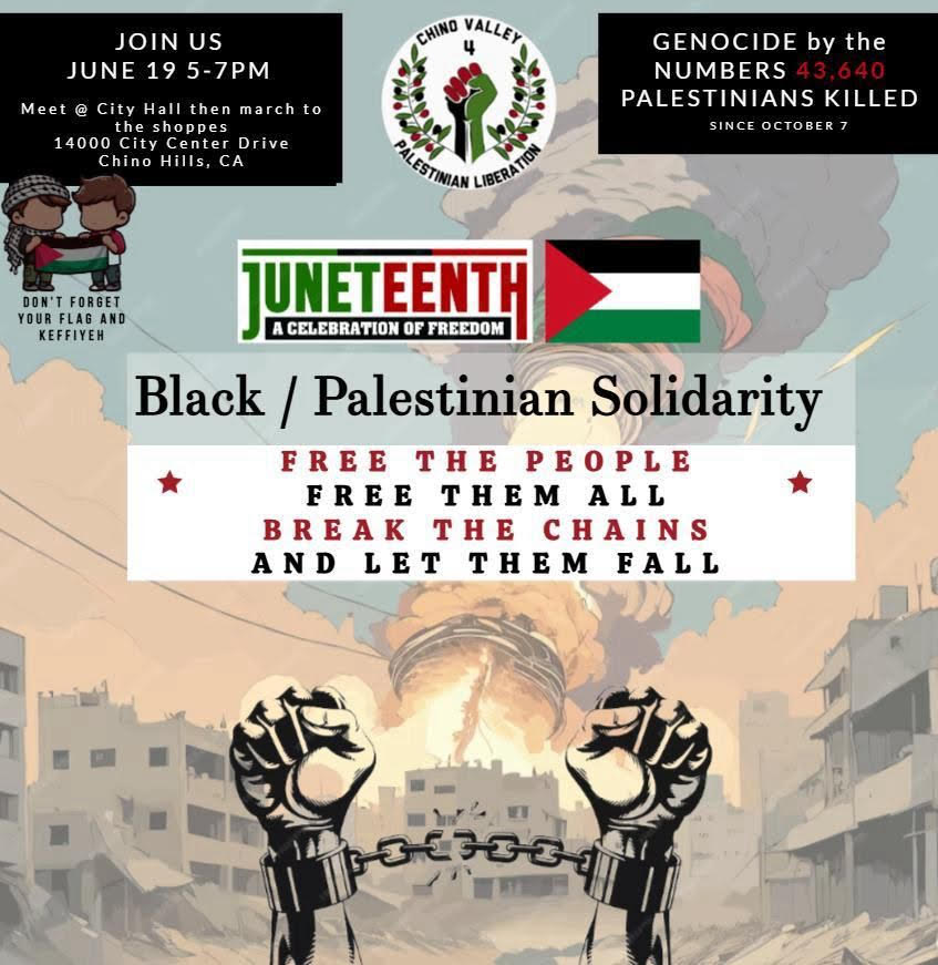 Juneteenth: Black/Palestinian Solidarity